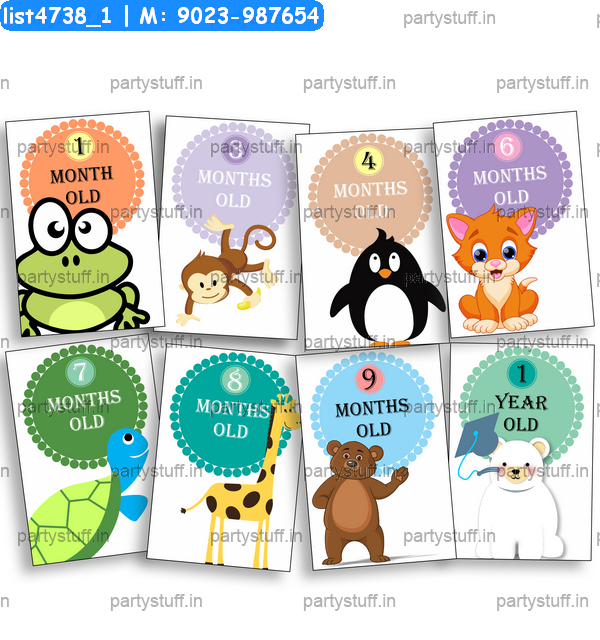 Baby Monthly Age Cards 2