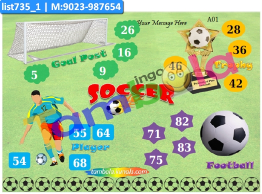 Football Soccer kukuba 1