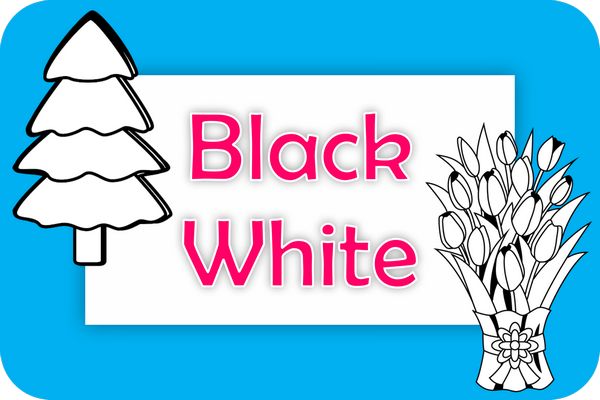 black-white theme designs