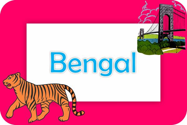 bengal theme designs