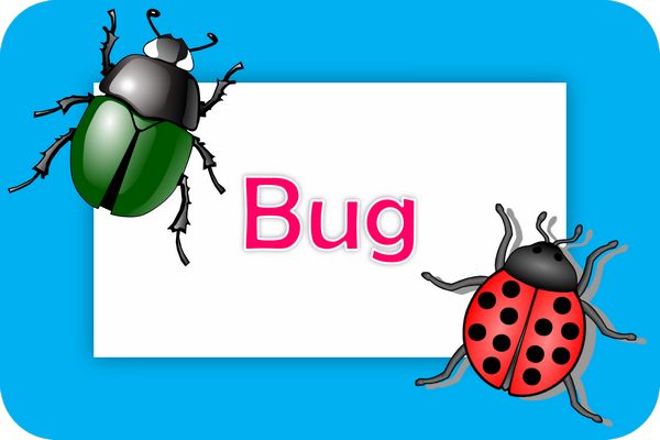 bug theme designs