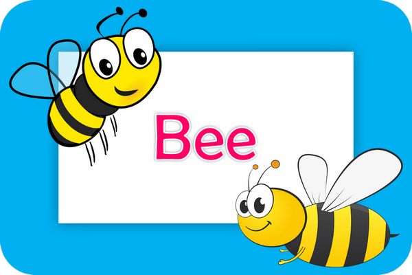 bee theme designs