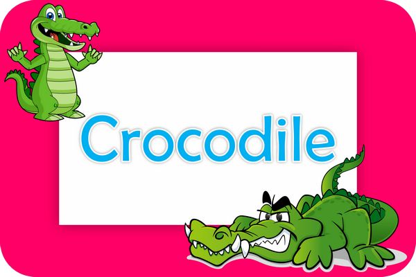 crocodile theme designs