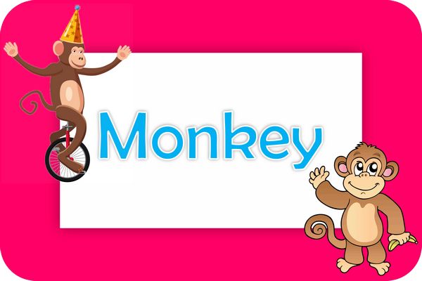 monkey theme designs