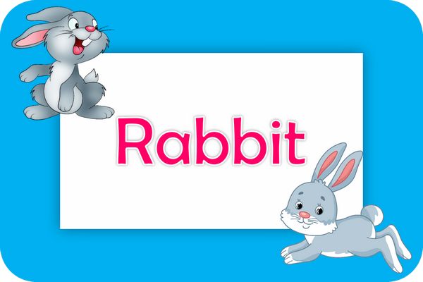 rabbit theme designs