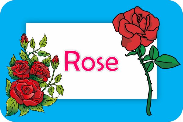 rose theme designs