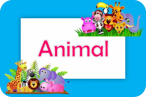 animal theme designs