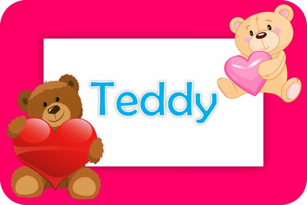 teddy theme designs