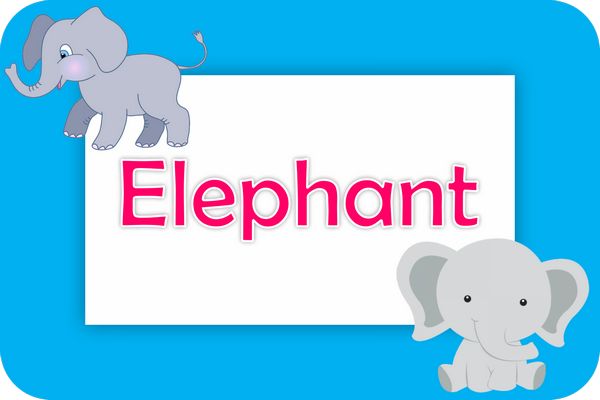 elephant theme designs