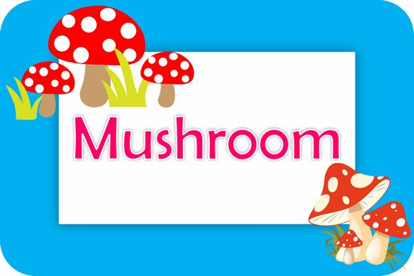 mushroom theme designs