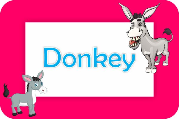 donkey theme designs