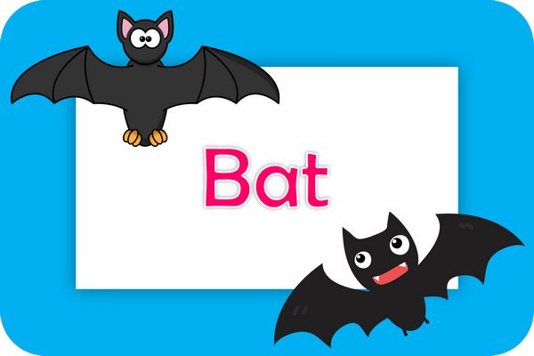 bat theme designs