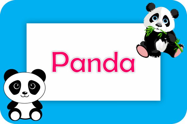 panda theme designs