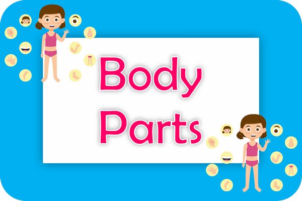 body-parts theme designs